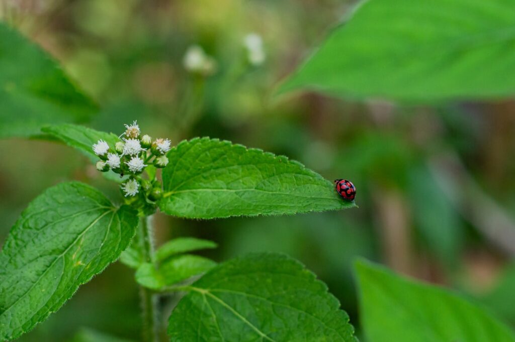 Photo blackjack casino